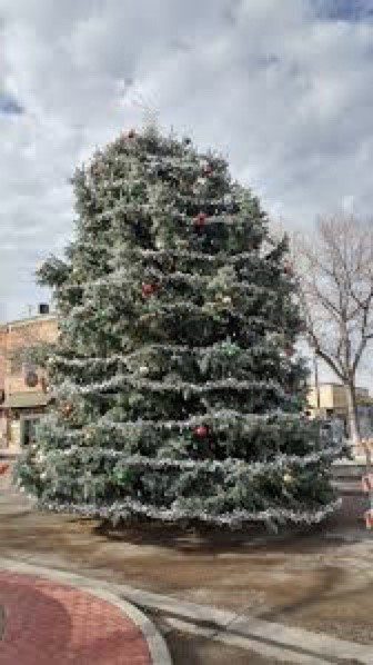 barrier-pest-christmas-tree