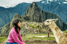 Uma mulher de suéter rosa sentada olha para uma lhama clara em primeiro plano, com as antigas ruínas de Machu Picchu e montanhas verdes ao fundo.