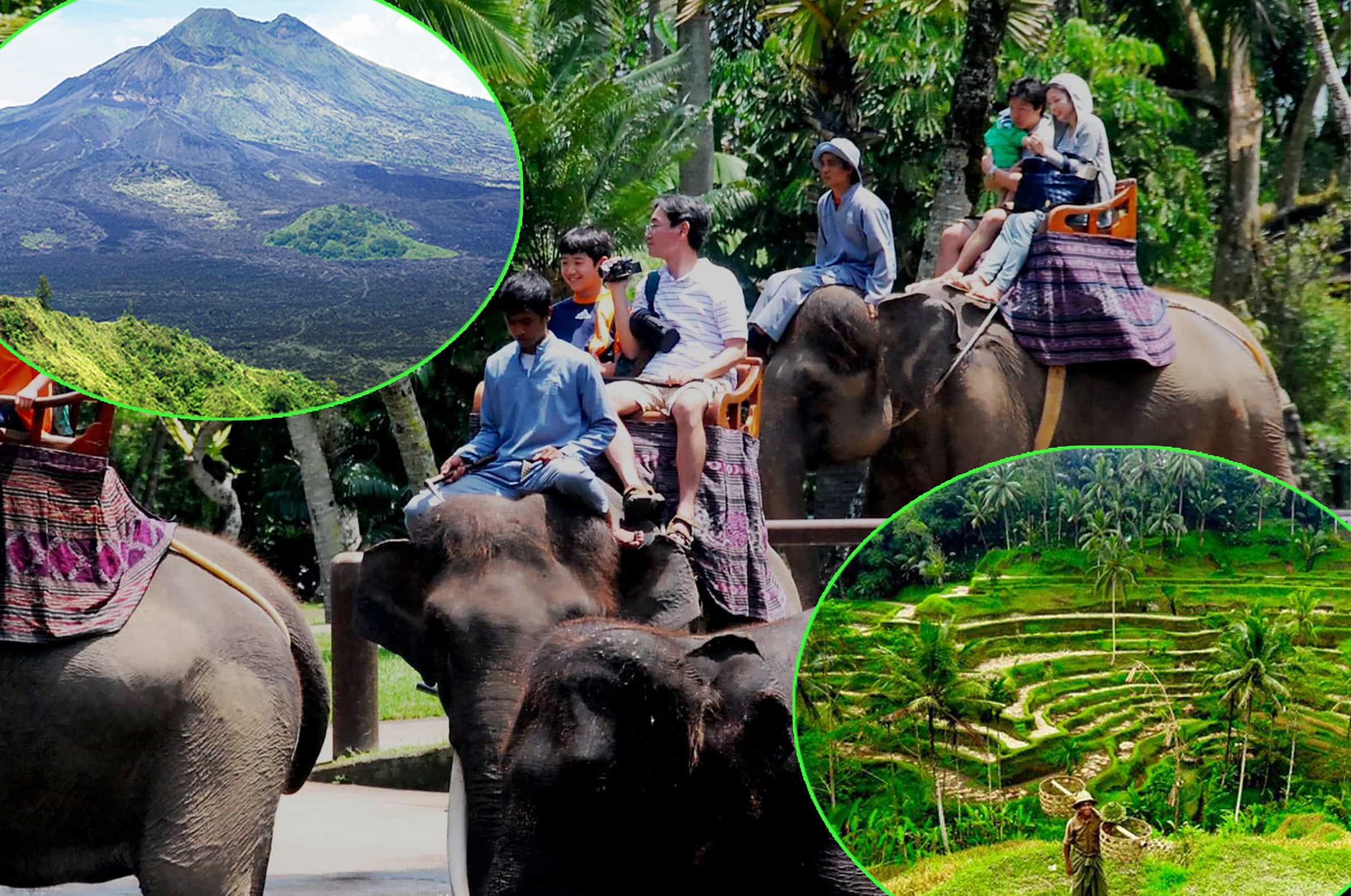 bali-elephan-ride