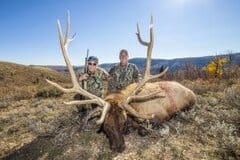 Harlyn and Gene Barnes_Bull elk