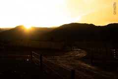 WhatsApp-Image-2021-06-07-at-21.34.16-2