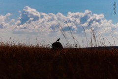 WhatsApp-Image-2021-06-07-at-21.34.17