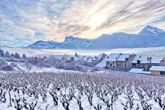 20210125_Remollon_1