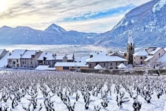 20210125_Remollon_2