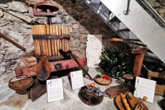 20200229_Inauguration_Maison_Vigneron_11_redimensionner