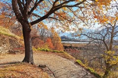 20201201_Remollon_03_redimensionner