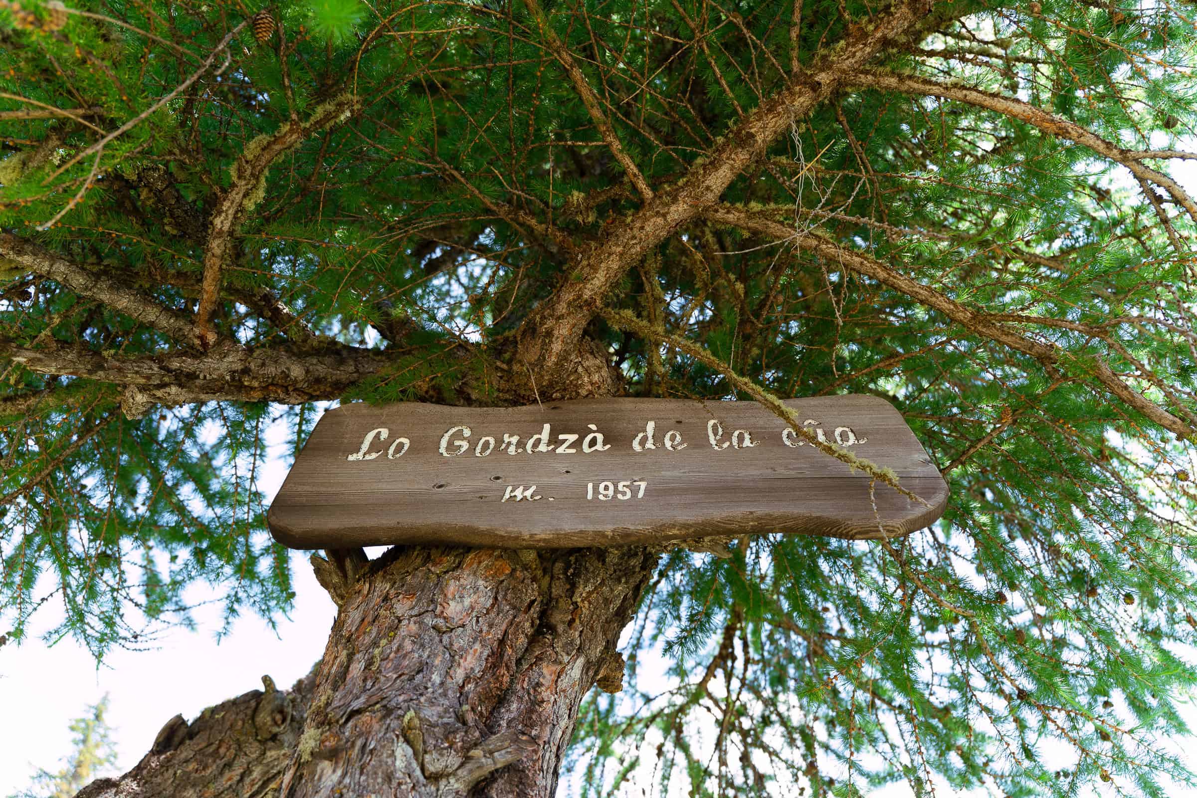 FOTOGRAFO MATRIMONIO in rifugio Valle daosta 12