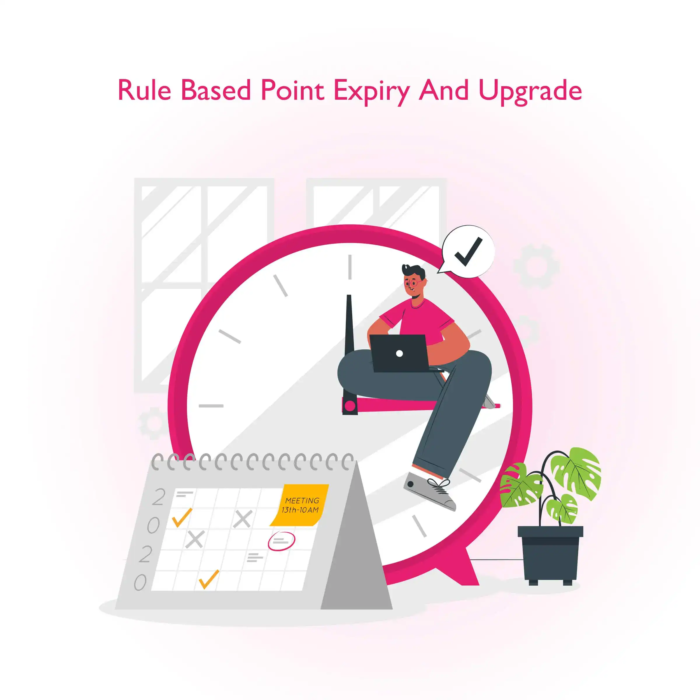 Loyalty management software with rule based expiry & update