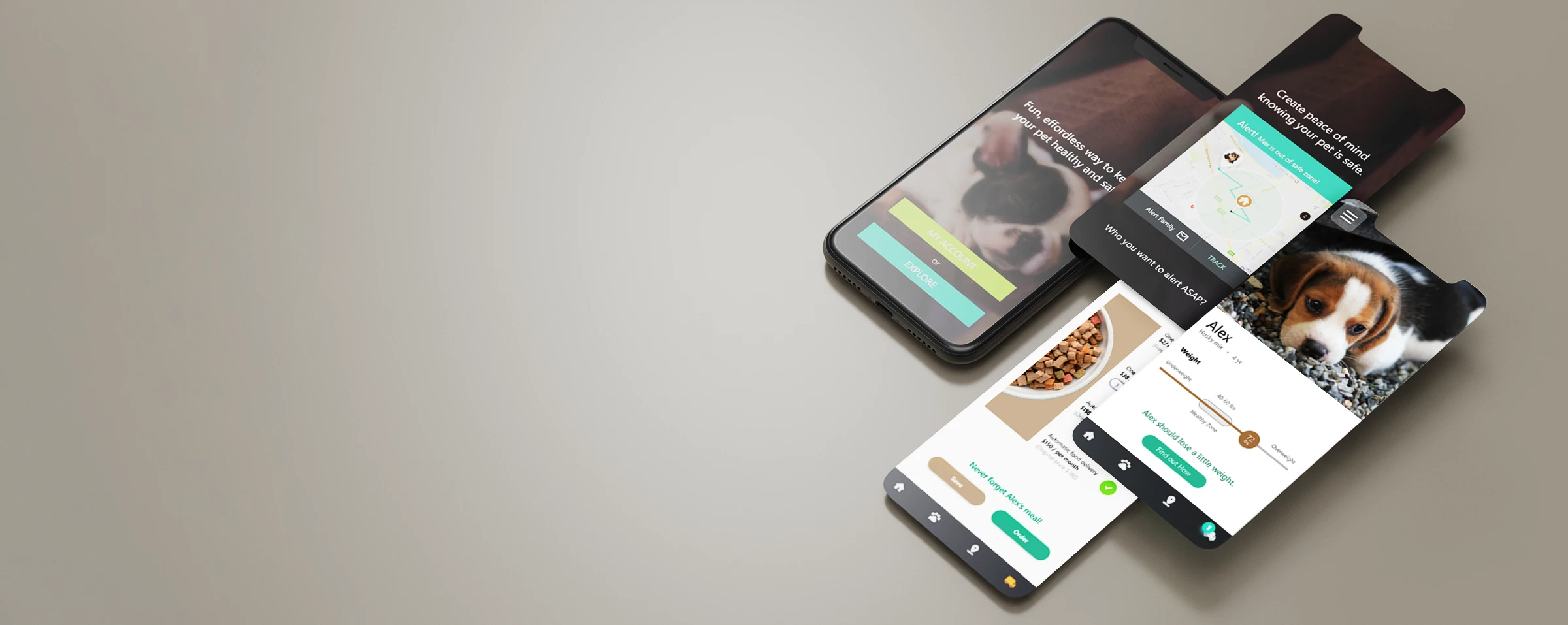 Digital Product
