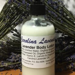 Lavender Body Lotion