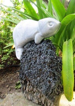 Caméléon, petit granit de Belgique, socle en carborandite d’Amérique
