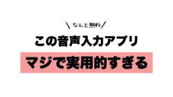 voice in 使い方