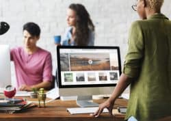 web team working together
