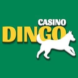 Dingo Games 200 freespins and 4000 EUR welcome offer in 4-tier bonuses