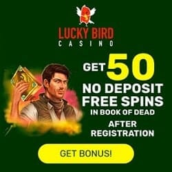 Grab 50 free rounds now 