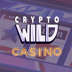 CryptoWild Casino logo banner