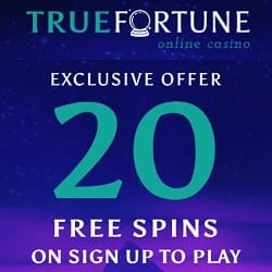 True Fortune Casino banner