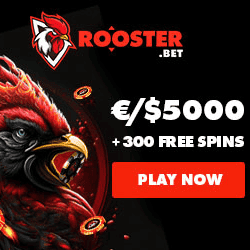 RoosterBet Casino banner 250x250