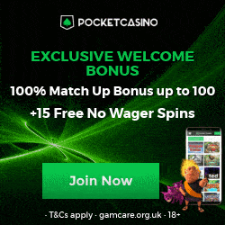 Pocket Casino banner 250x250 new