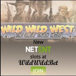 WildWildBet Casino banner 250x250