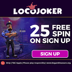 Loco Joker Casino banner