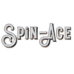 Spin Ace Casino logo banner