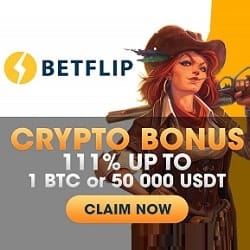 BetFlip Casino Crypto banner 250x250