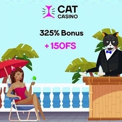 Cat Casino banner