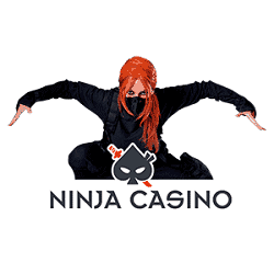 Ninja Casino - free spins bonus, no registration, instant cashout