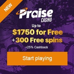 Praise Casino NZ banner 250x250