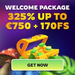 Exclusive 20 Free Spins Bonus! 