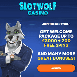 50 no deposit free spins 