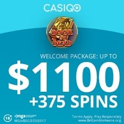 CasiGO Casino banner bonus spins