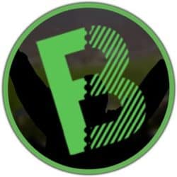 Fansbet image