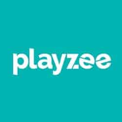 Playzee logo banner