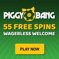 Piggy Bang Casino - no wager bonuses and promotions!