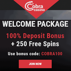 Cobra Casino new banner