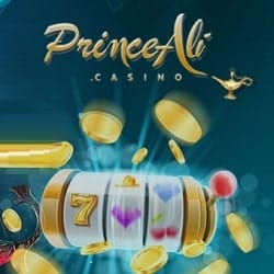 Prince Ali Banner