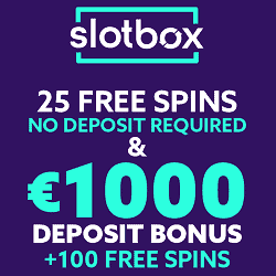 Slotobox Casino NDB banner