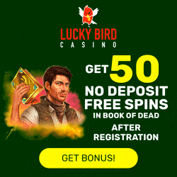 Book of Dead free spins bonus