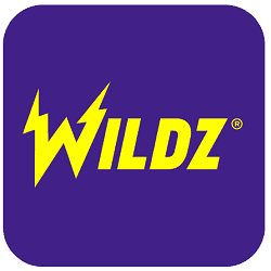 Wildz Casino banner