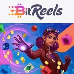 BitReels Logo Banner