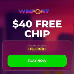 Winport Casino image banner