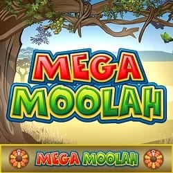 Mega Moolah bonus banner 250x250