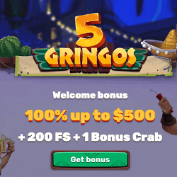 5Gringos Casino new banner 250x250