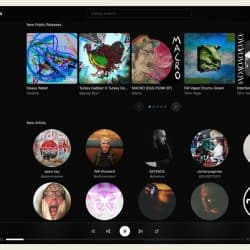 Vivid digital music platform showcasing new releases, artists, and playlist features for music promotion and discovery at Hypebot.