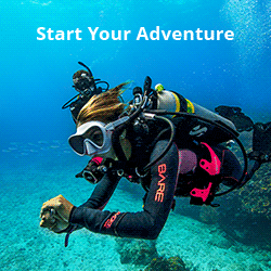 Try Dive Tenerife PADI
