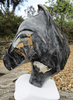 CHEVAL DE GUERRE