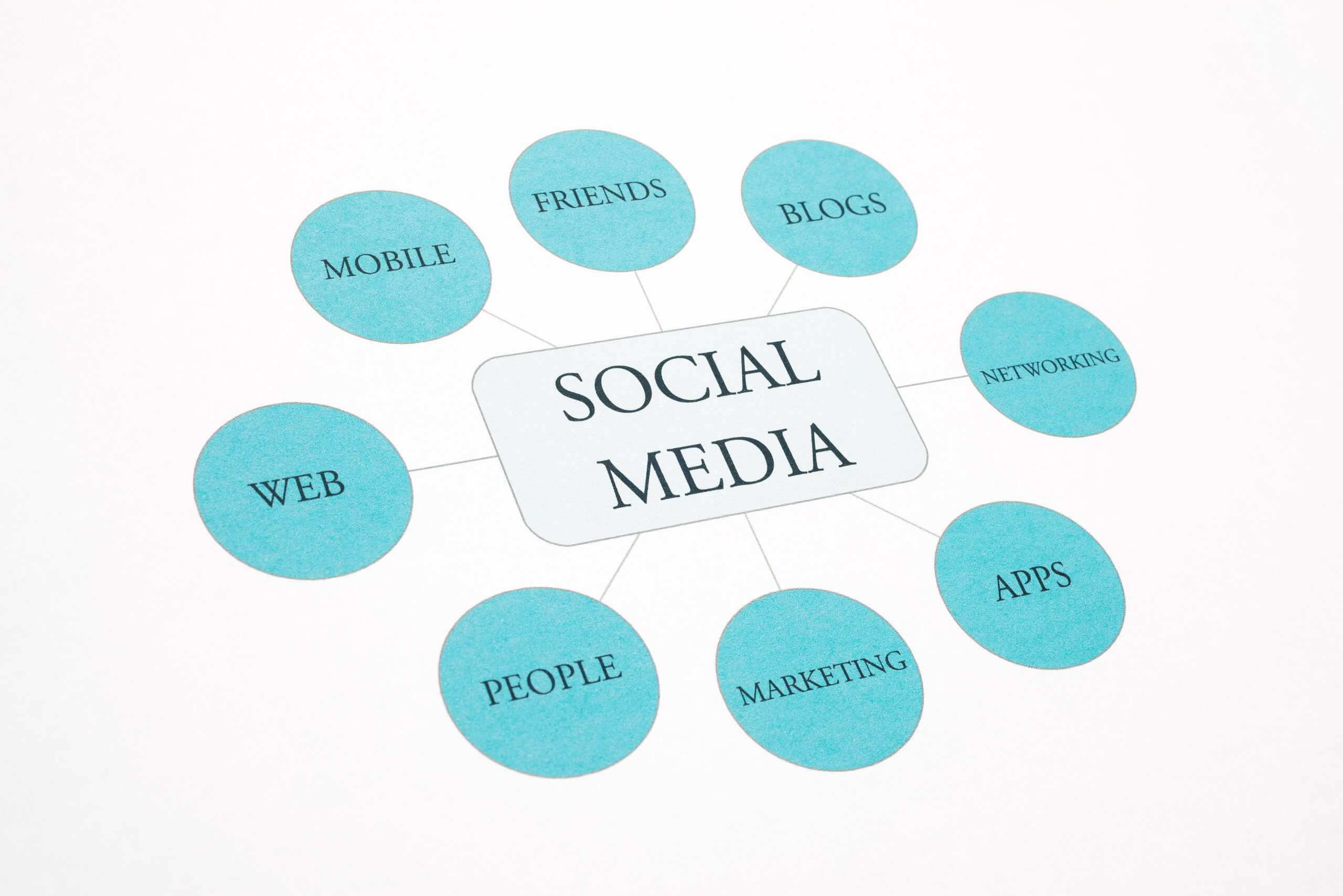 Harnessing the Power of Social Media for Website Growth
