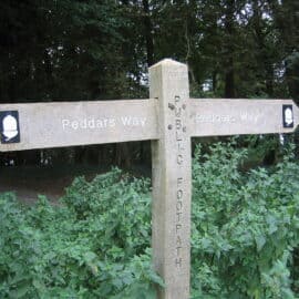 Walking and Cycling to Ling’s Meadow